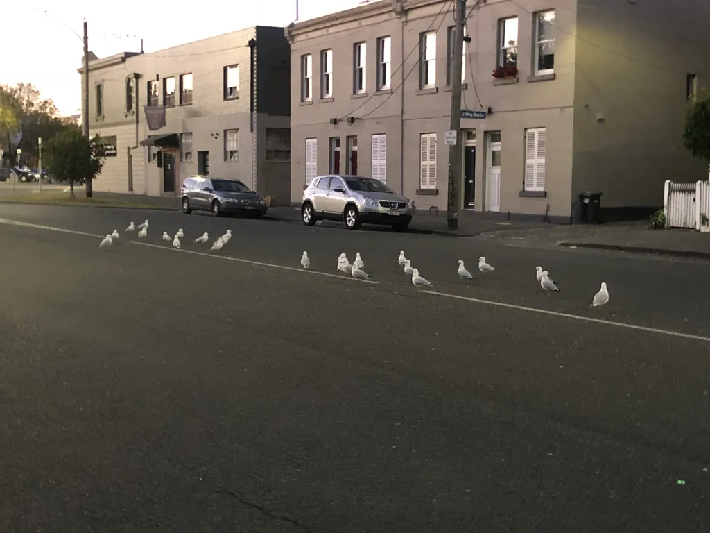 they own this town