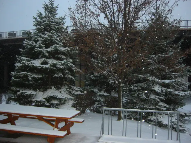 snowstorm, 2003-12, img_0992
