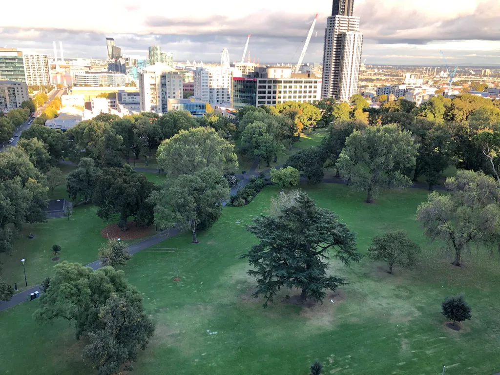 Flagstaff garden by day