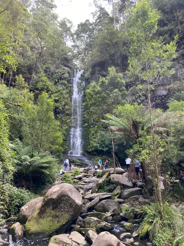 down the Great Ocean Road