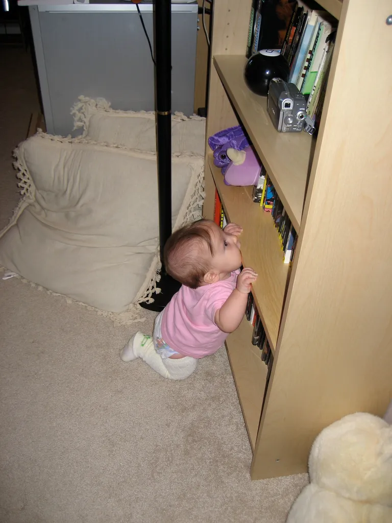 mj eating the bookshelf (again)