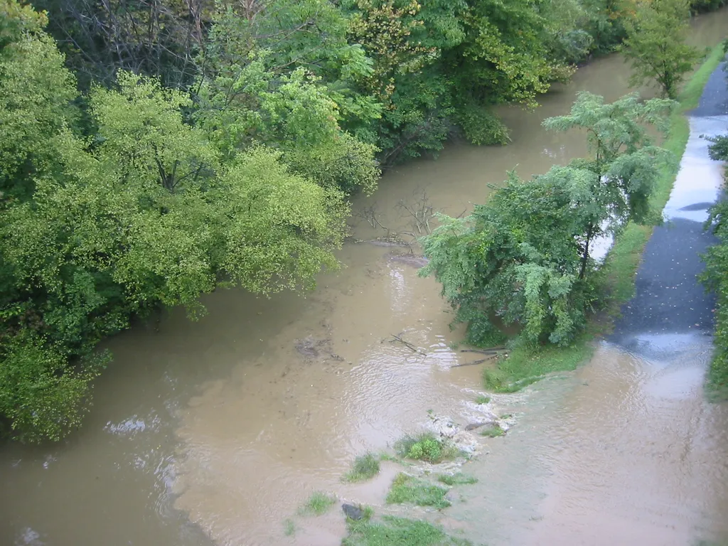 the flood, 2004, img_1841