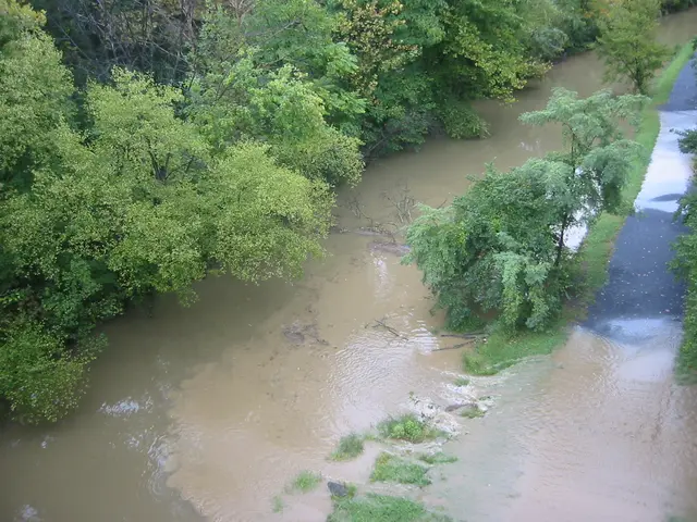 the flood, 2004, img_1841