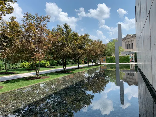 the Barnes