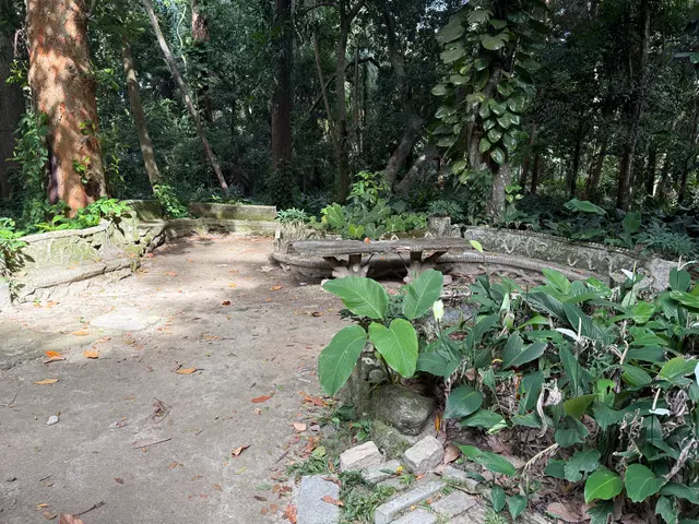 Parque Lage