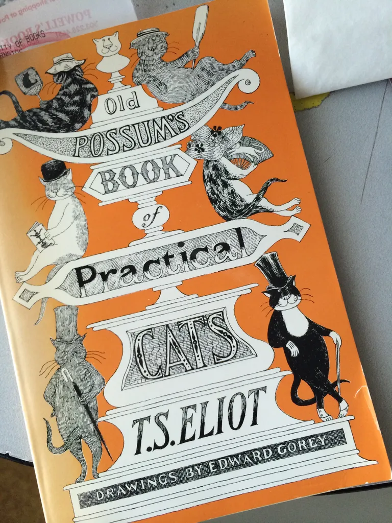 practical cats