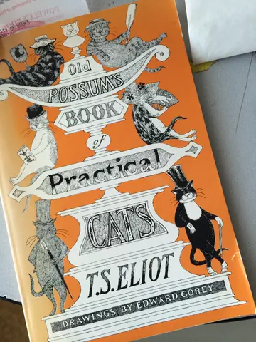 practical cats