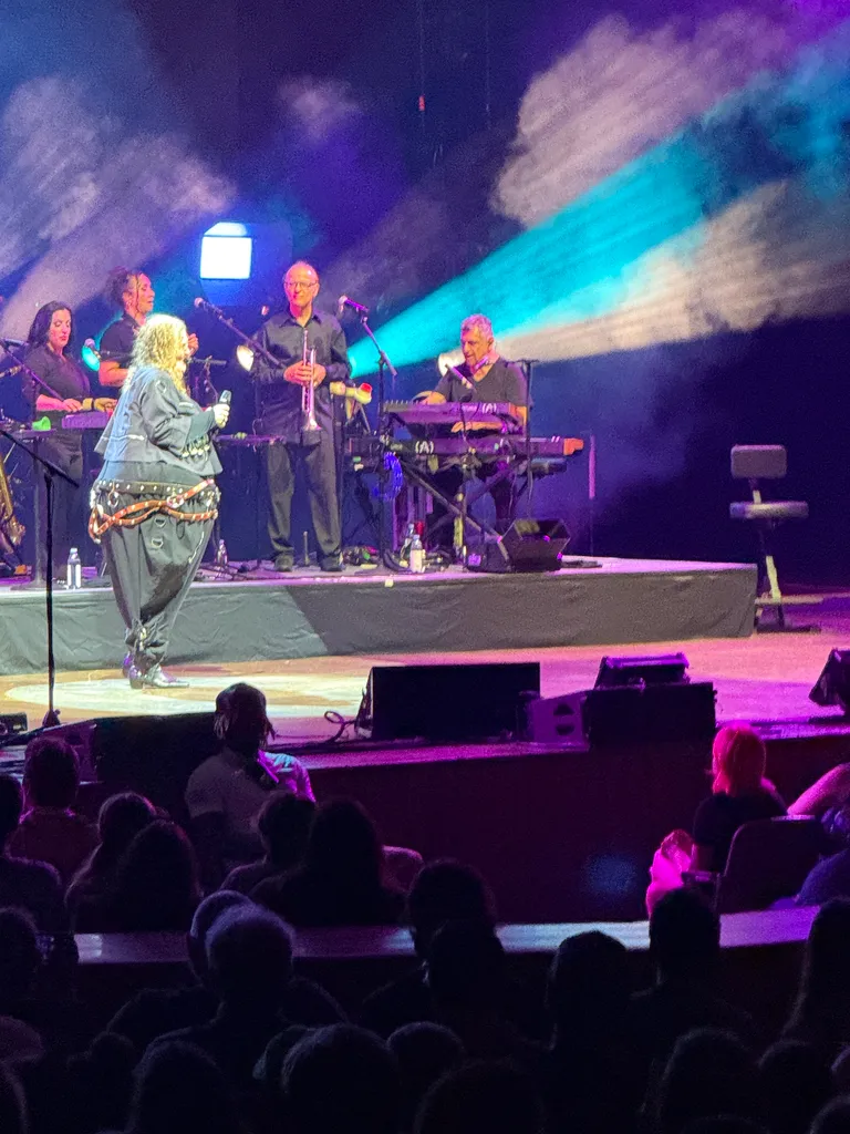 Weird Al concert