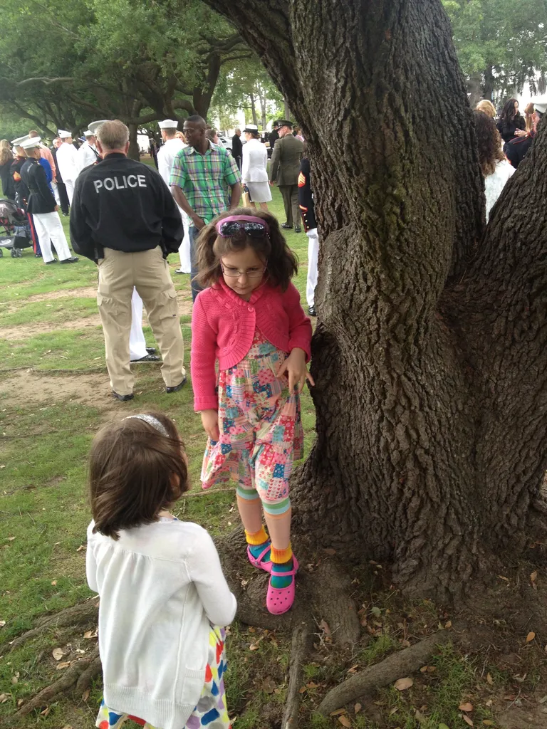tree climbing