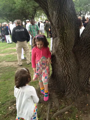 tree climbing