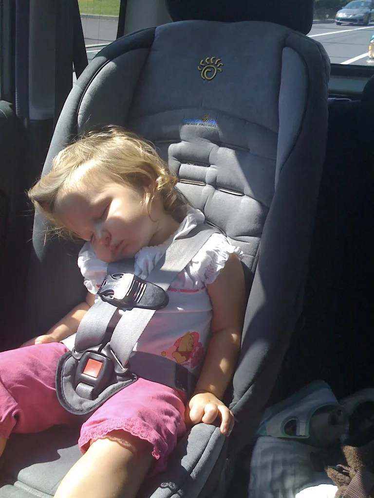 heading home from IKEA, zzz
