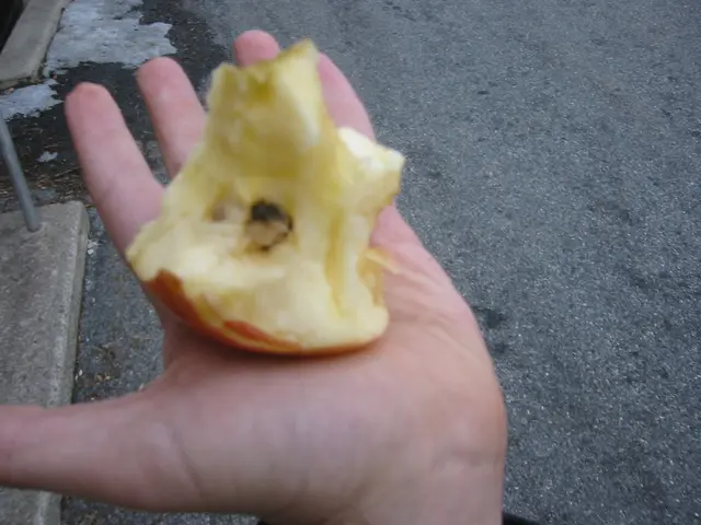 rotten apple
