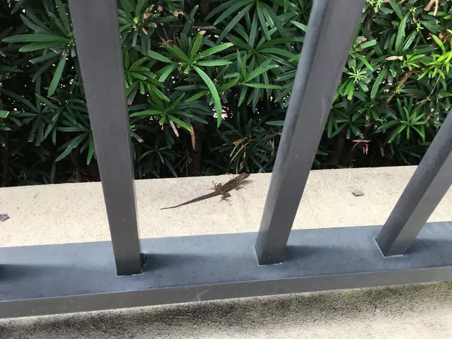 some kind of lizard