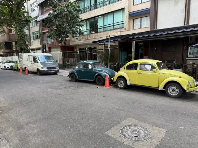 VWs in Rio