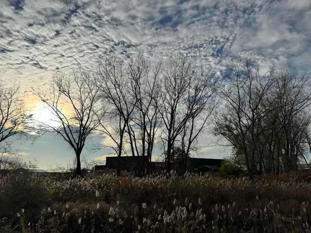 Silo City