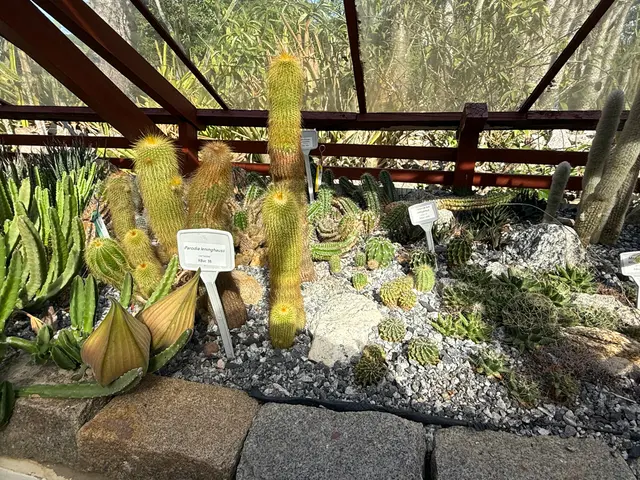 the Botanical Garden in Rio