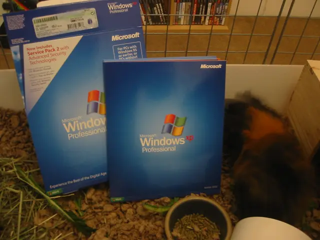 snoozer investigates windows xp