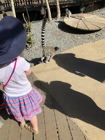 zoo time