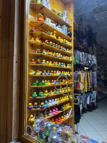 rubber ducky store!