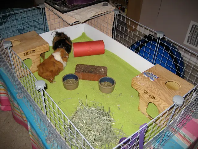 test of fleece bedding