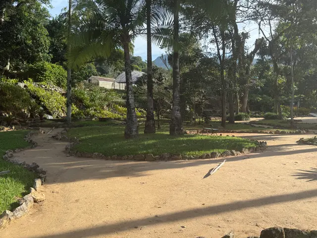 the Botanical Garden in Rio