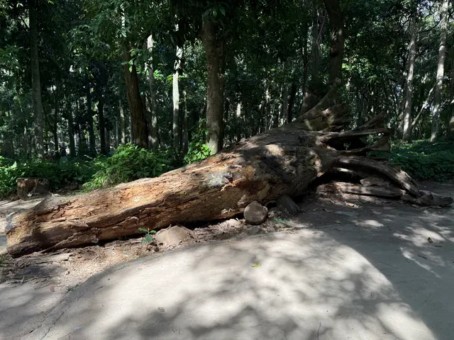 Parque Lage