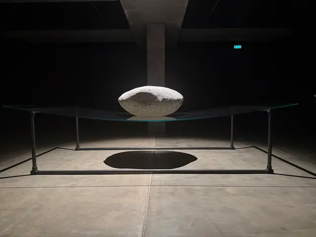 visiting MONA
