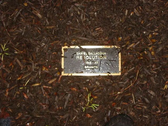 Sculpture Garden, Resolution