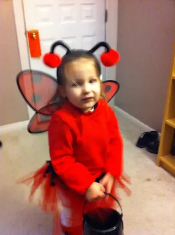 Ladybug Girl