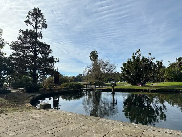 Sydney botanical gardens