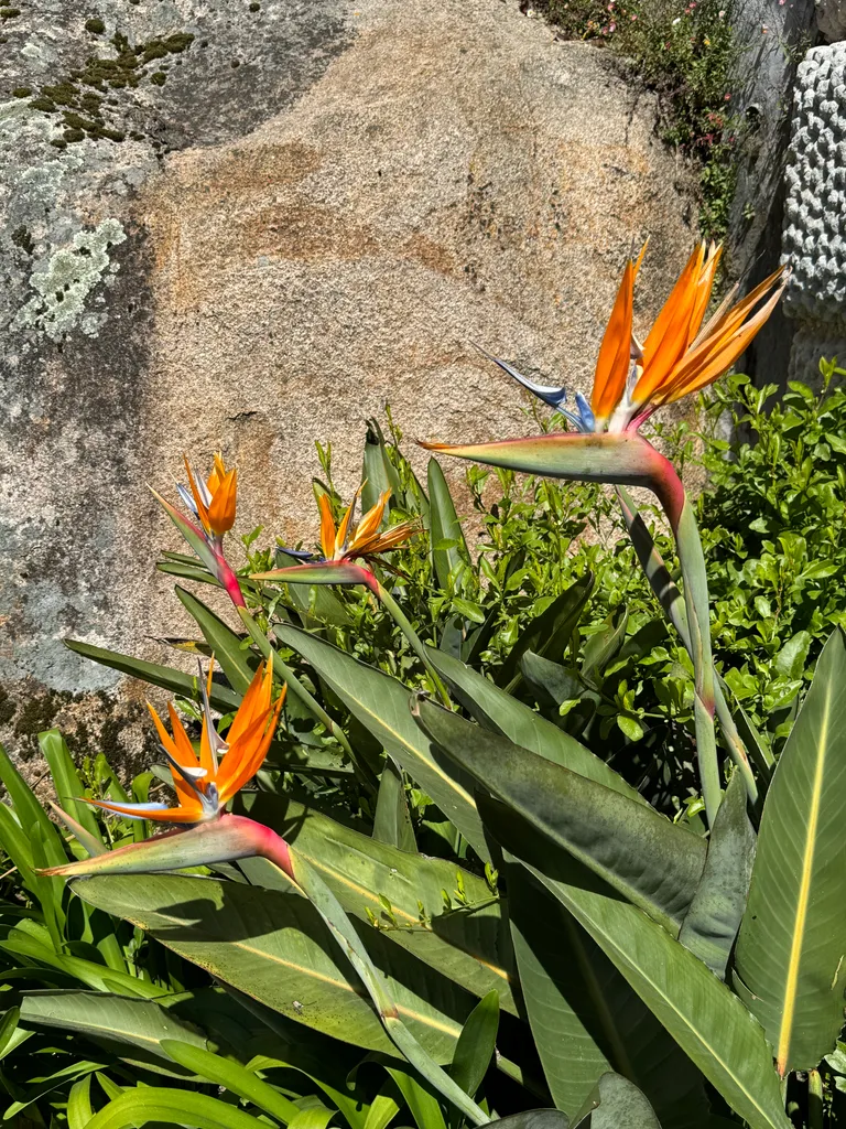 Sintra, Pena Palace