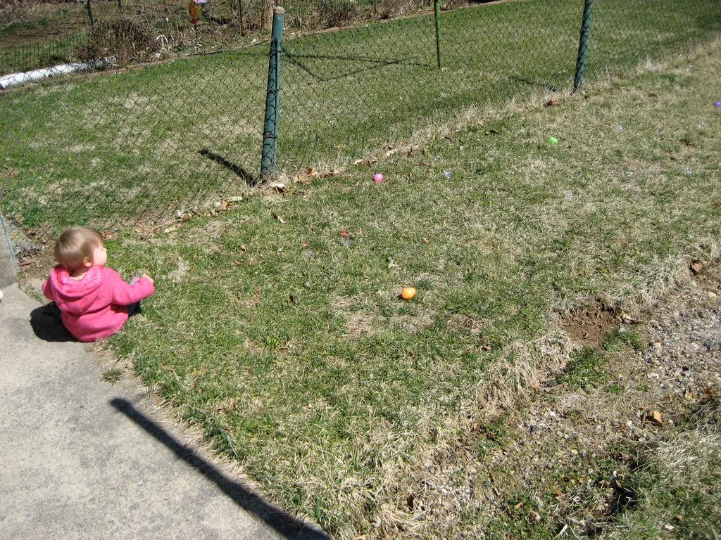 easter egg hunting