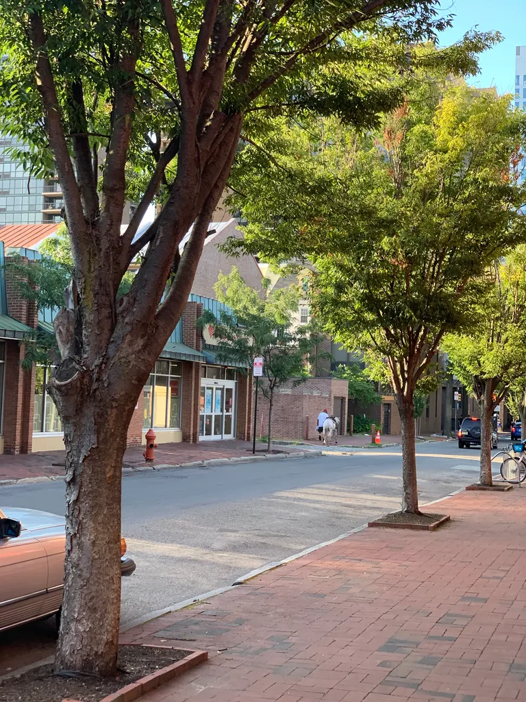 dude walking his horse