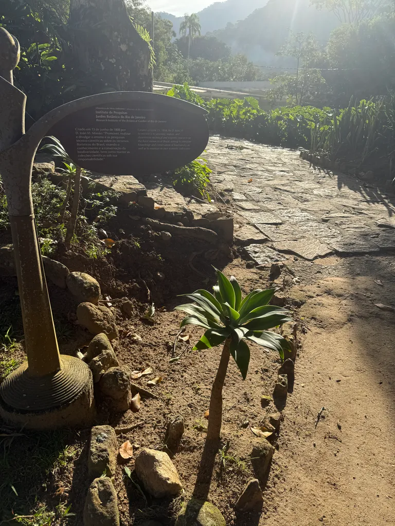 the Botanical Garden in Rio