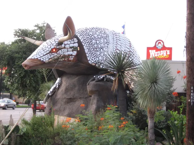 giant armadillo