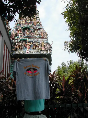 hedgehog shirt, Singapore
