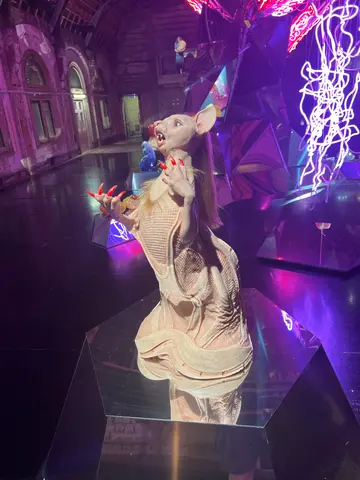 weird sculpture exhibit