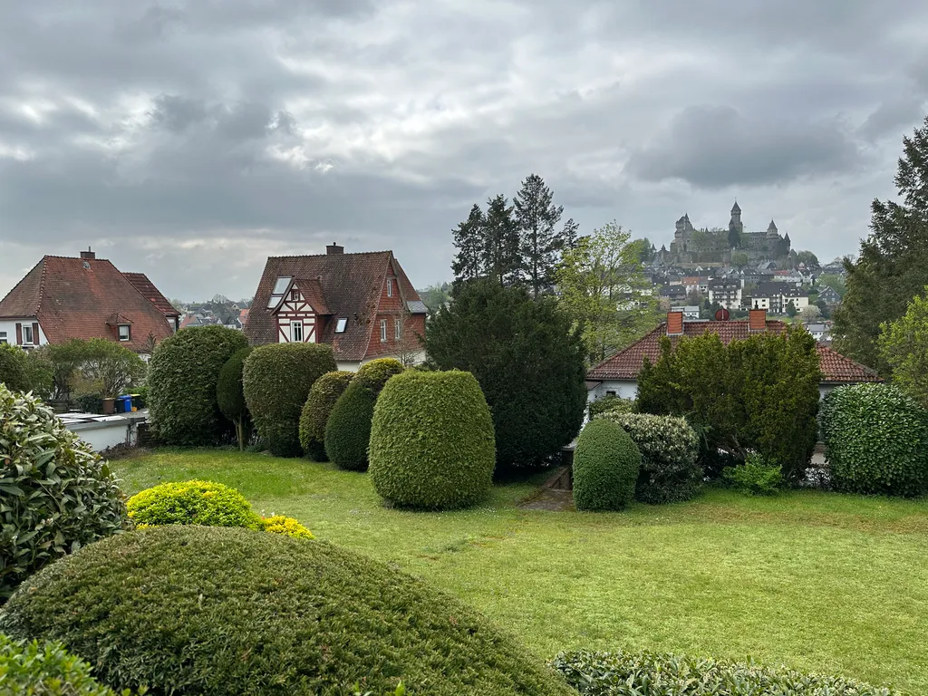 the view from Oma's patio