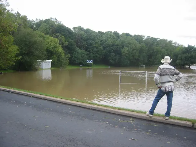 the flood, 2004, img_1846