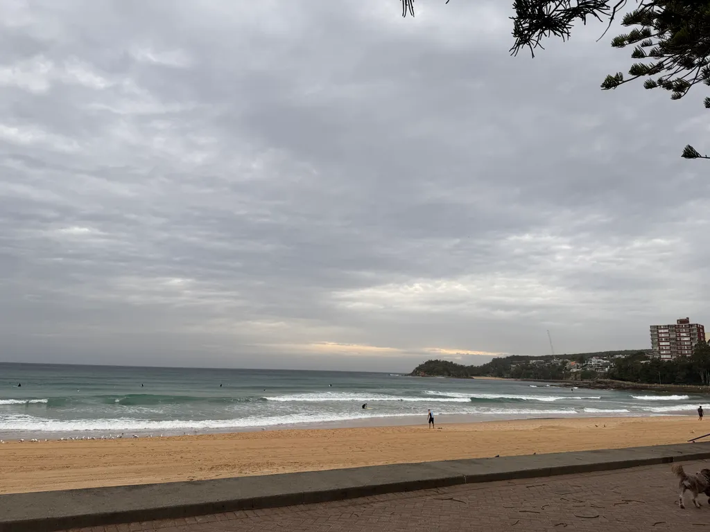 at Manly Beach