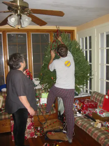 repairing the tree