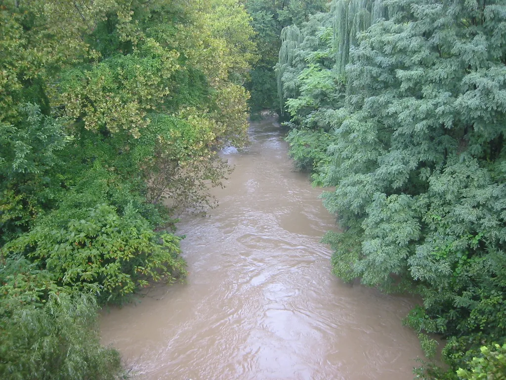 the flood, 2004, img_1840