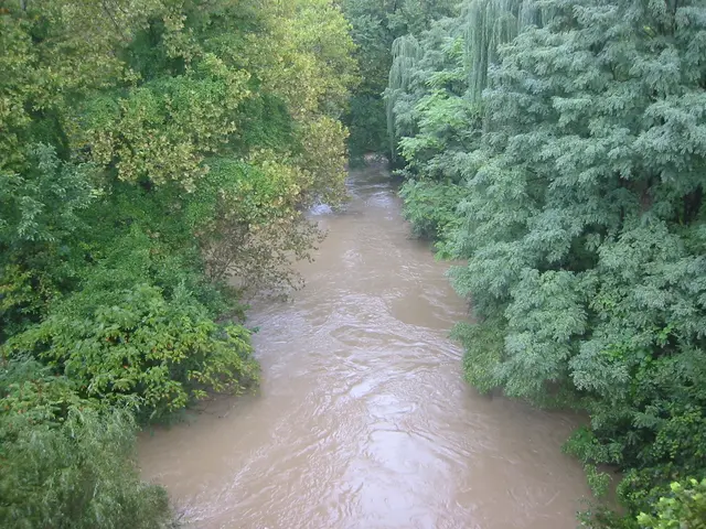 the flood, 2004, img_1840