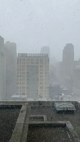 snow at the office