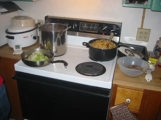 thanksgiving 2004, img_0025