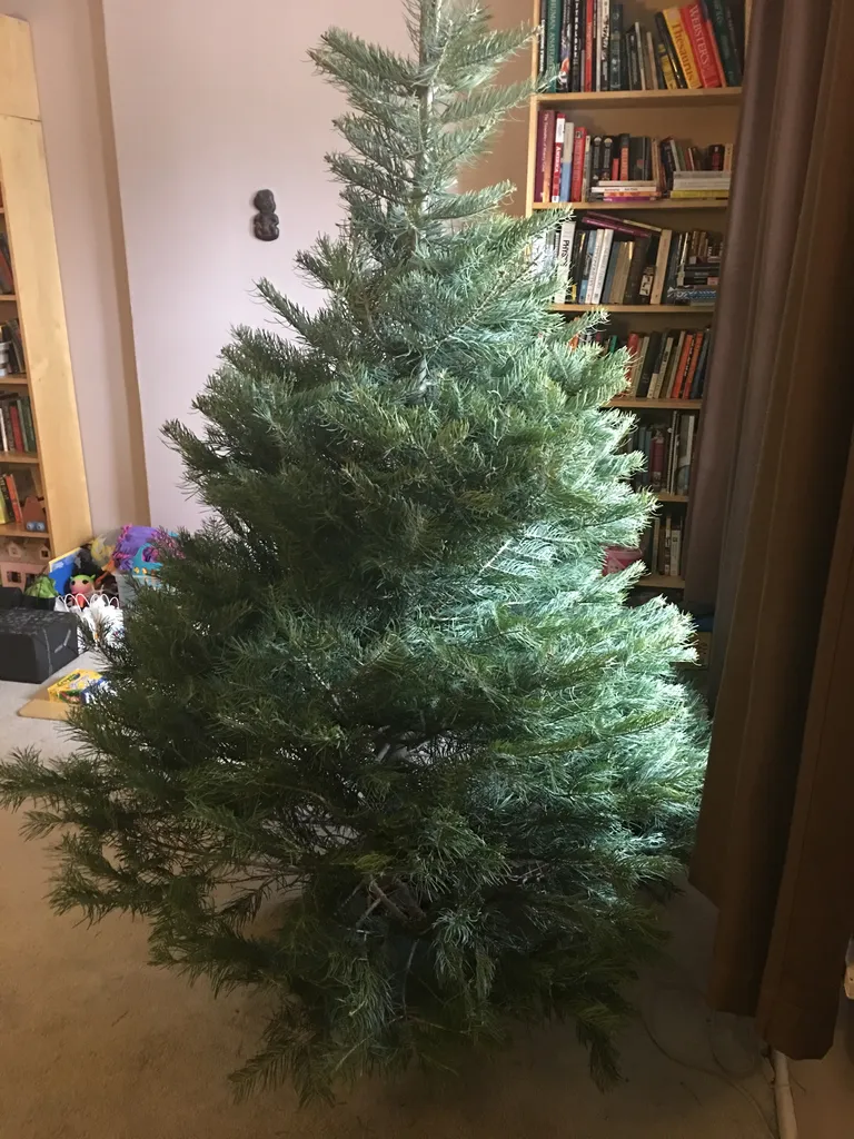 christmas tree (nude)