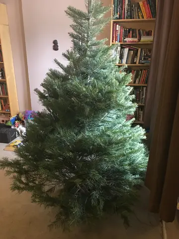 christmas tree (nude)