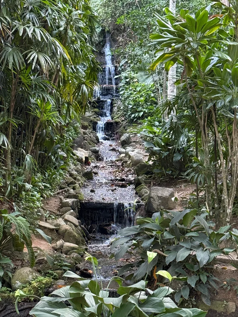 the Botanical Garden in Rio