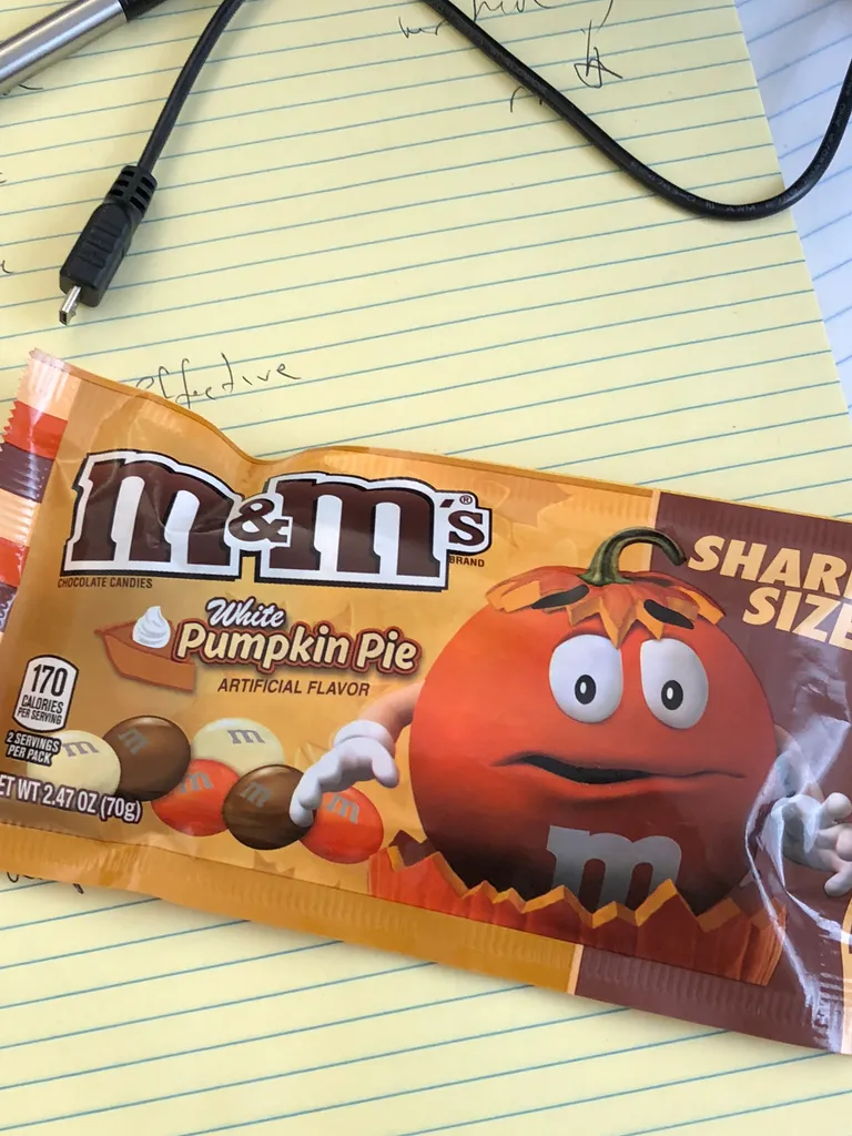 pumpkin spice everything