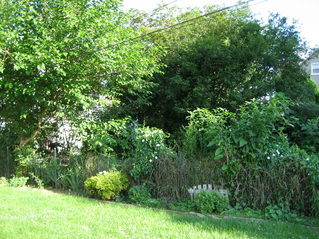 the north unit's garden (again)